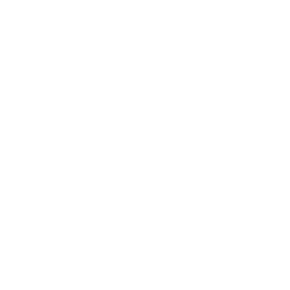 Logo prism 10 ans blanc